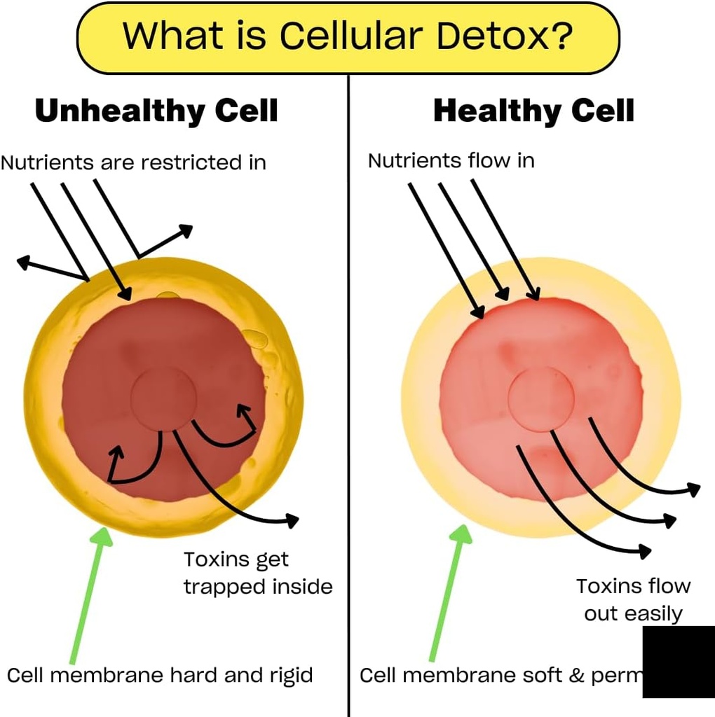 human-improvement-performance-protein-ch-5.jpg