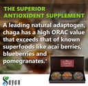 sayan-siberian-all-day-set-instant-chaga-4.jpg