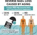 liposomal-nad-800-mg-with-trans-resverat-4.jpg