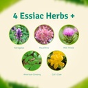 aloe-life-detox-plus-formula-aloe-based--5.jpg