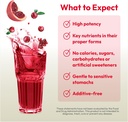 andrew-lessman-efficient-c-cranberry-ben-4.jpg