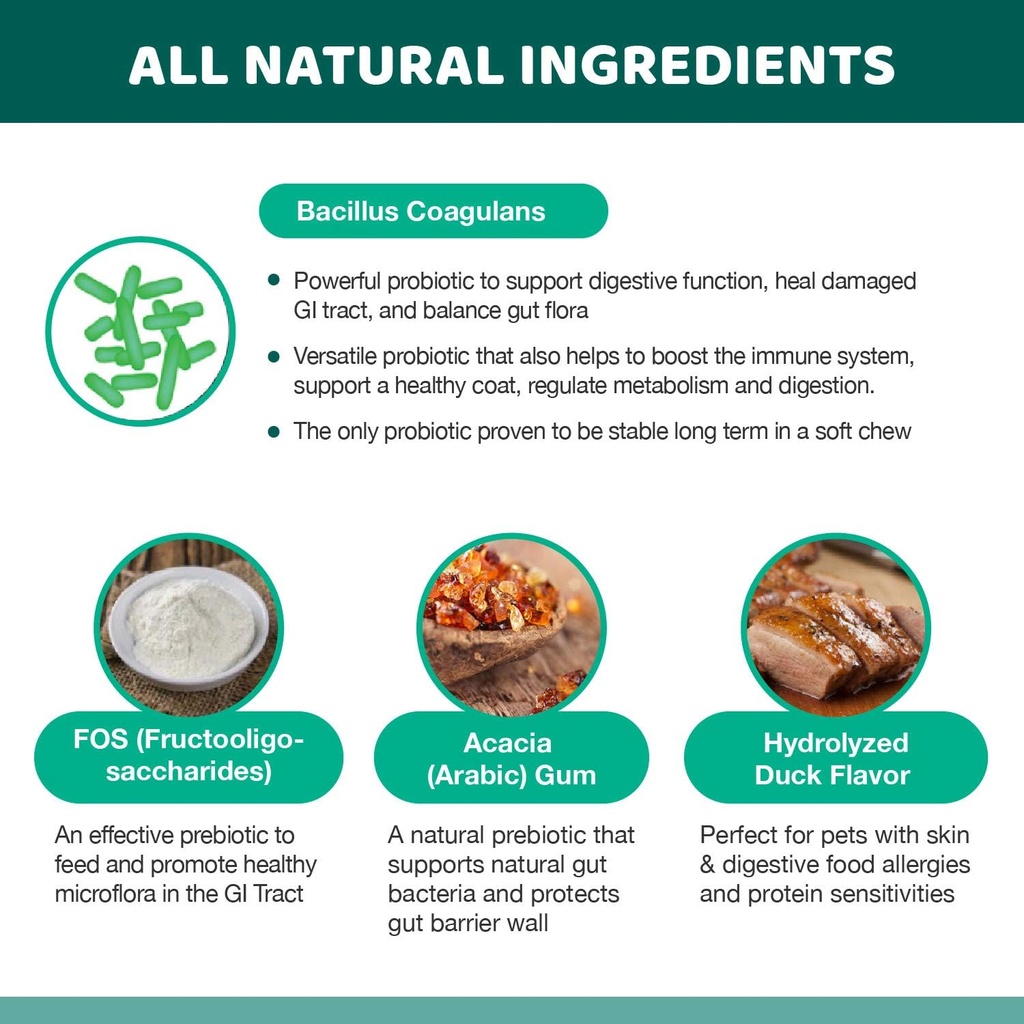wellnergy-daily-probiotic-prebiotics-sof-5.jpg