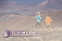pure-original-ingredients-st-johns-wort--5.jpg