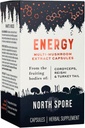 organic-energy-mushroom-extract-capsule--5.jpg