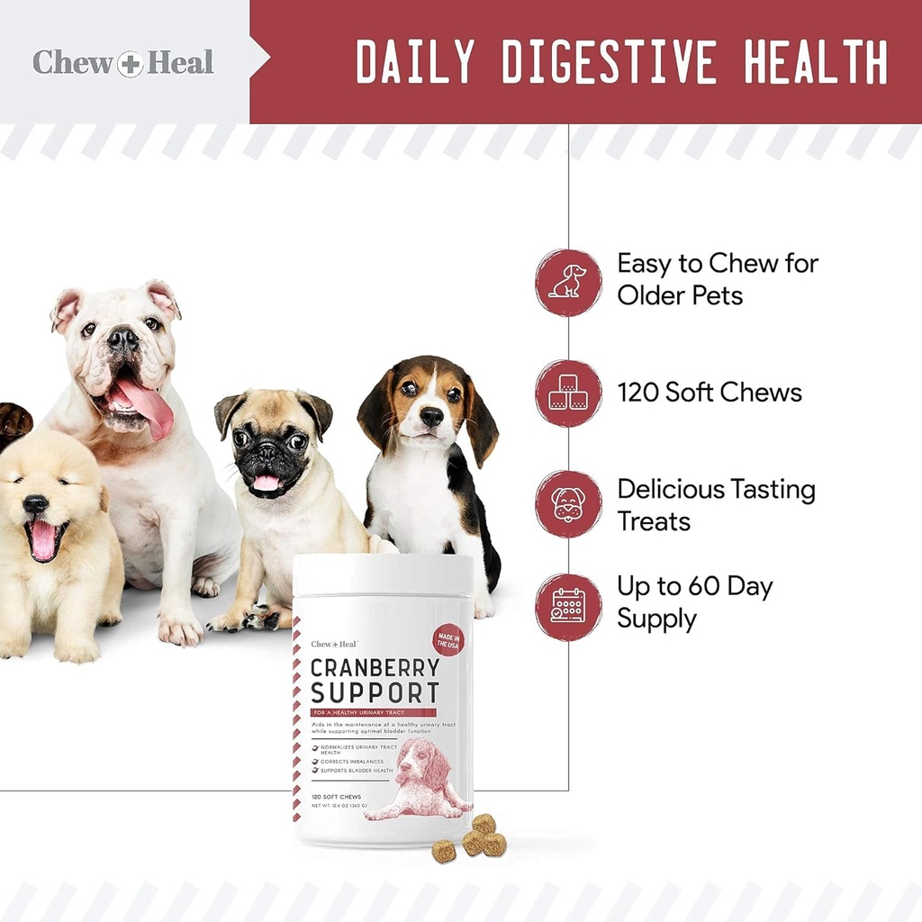 digestive-enzymes-and-probiotics-and-cra-5.jpg