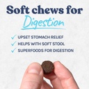 healthybud-turkey-dog-probiotic-chews----2.jpg