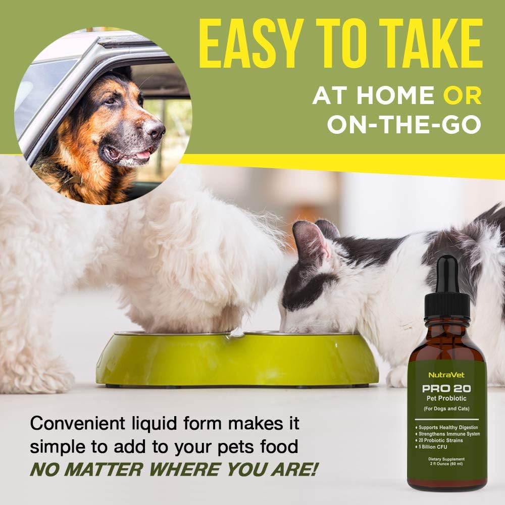 probiotics-for-dogs-and-cat-probiotics---6.jpg