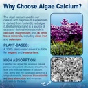 sugar-free-calcium-supplement-600mg-alga-3.jpg