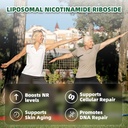 liposomal-nicotinamide-riboside-suppleme-5.jpg