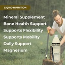 youngevity-osteoprocare-joint-juice---su-4.jpg