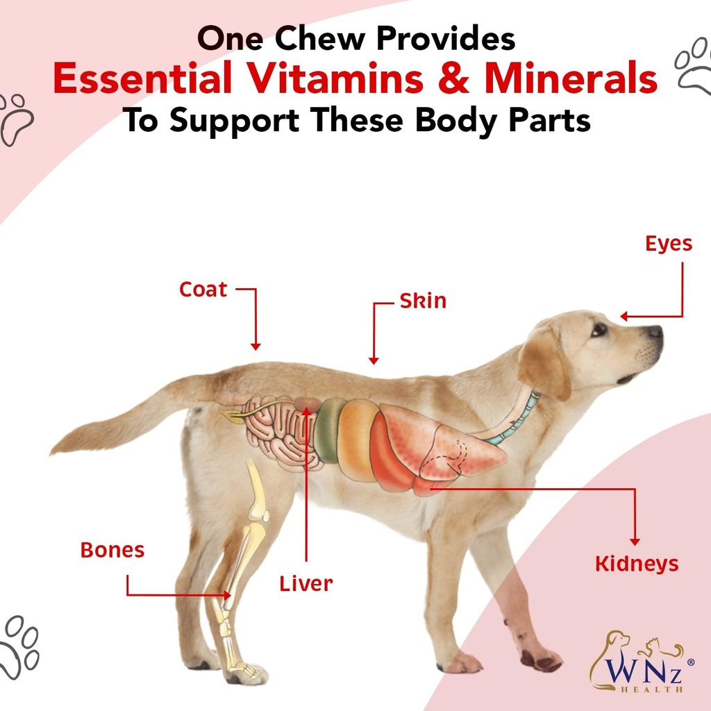 dog-multivitamins-and-supplements-probio-6.jpg
