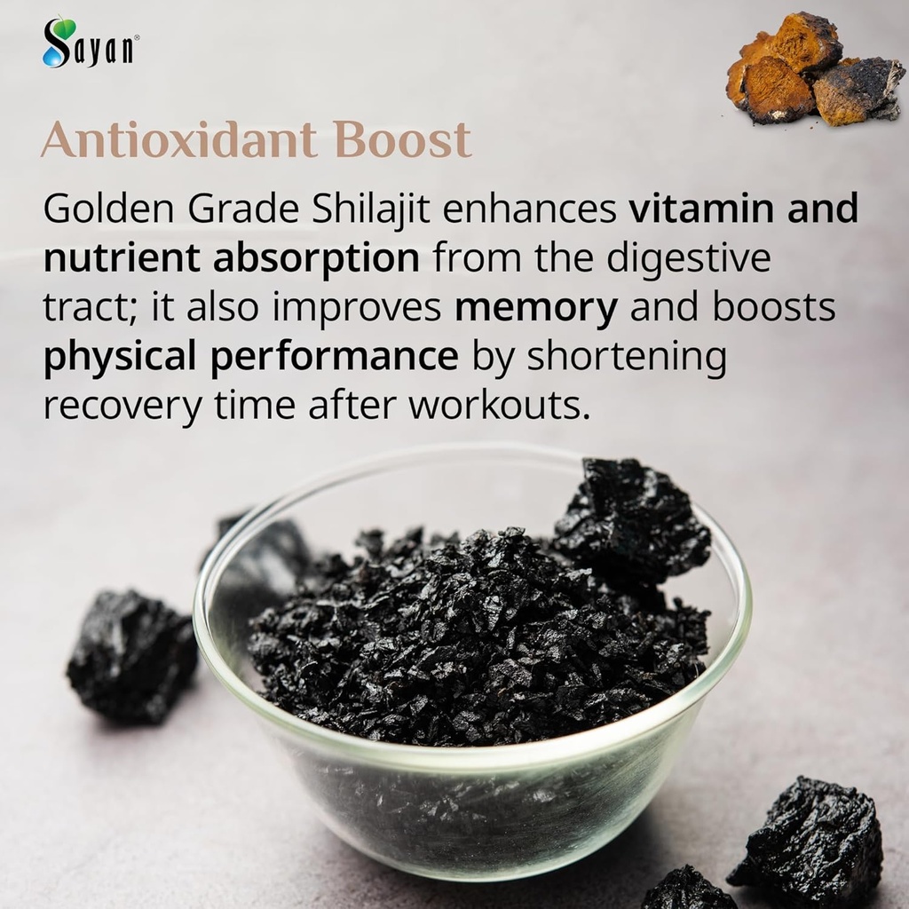 sayan-siberian-chaga-mushroom-extract-wi-5.jpg