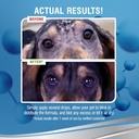 petsilver-eye-drops-for-dogs-and-cats----4.jpg