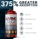 orgono-living-silica-sports-recovery-veg-6.jpg