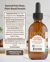 rawguru-cordyceps-mushroom-supplement----3.jpg