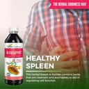 papaya-leaf-extract-bundle---digestive-a-6.jpg