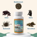 maine-coast-sea-vegetables-seaweed-suppo-3.jpg