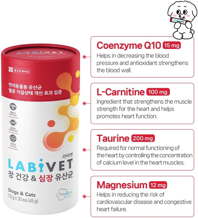 probiotics-for-dogs-and-cats-gut-health--2.jpg