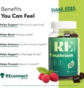 magic-mushroom-gummies-for-adults-i-veg--3.jpg