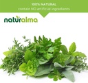 naturalma-milk-thistle-silybum-marianum--4.jpg