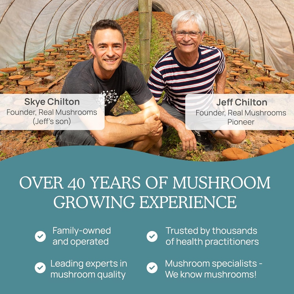 real-mushrooms-vitamin-d2-from-shiitake--6.jpg
