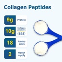 zammex-collagen-peptideschocolate-bone-b-5.jpg