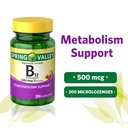 spring-valleysublingual-dots-vitamin-b-1-2.jpg