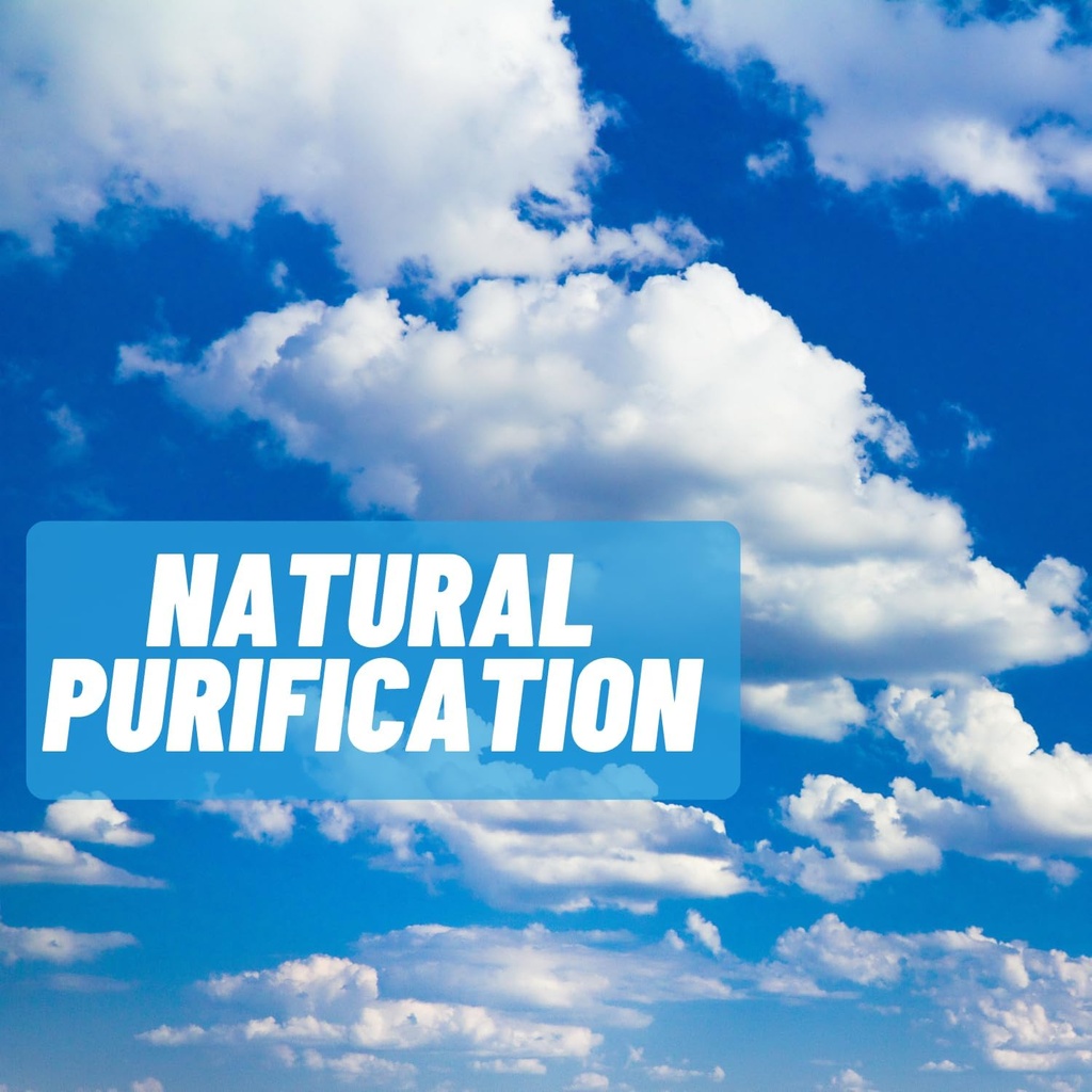 calcium-d-glucarate-500mg-5.jpg