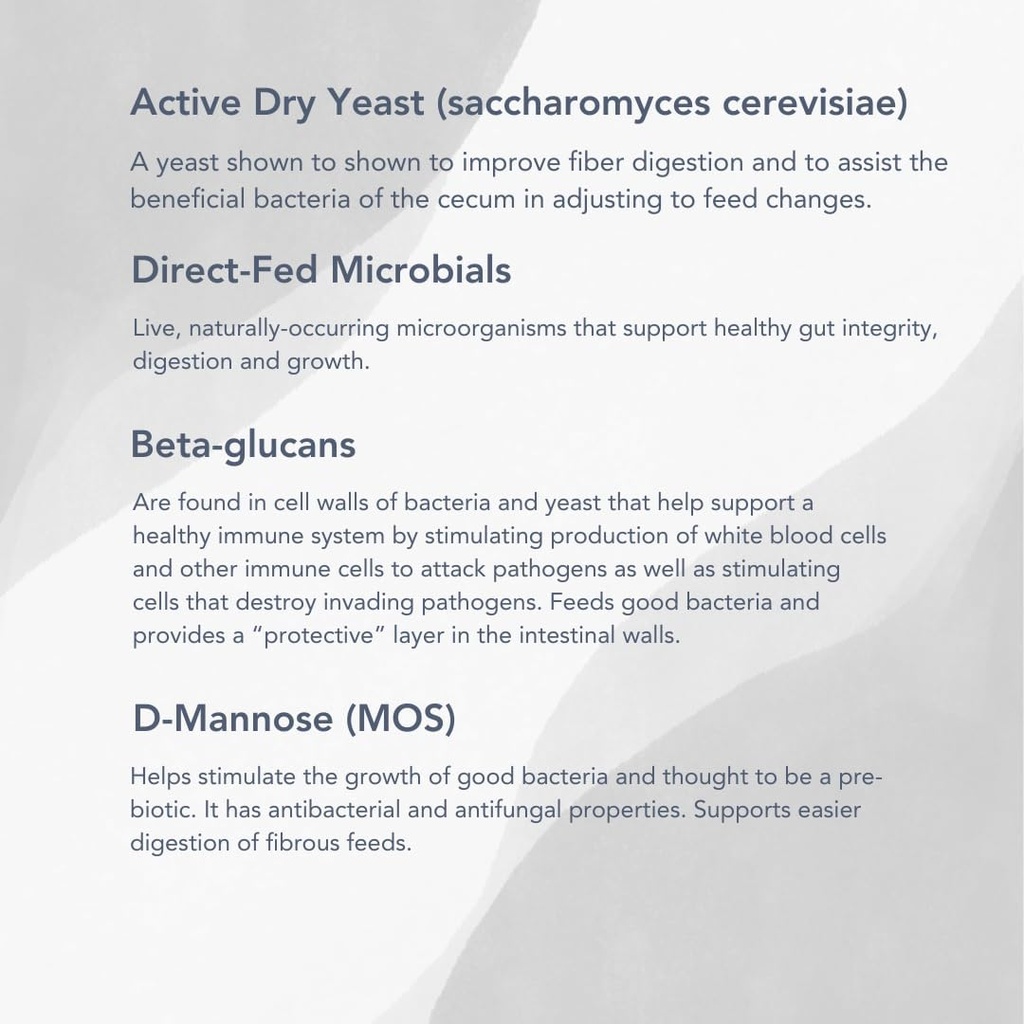 mvp-probiotic-eq-10lb-for-healthy-digest-3.jpg
