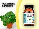 dr-wakdes-gotu-kola-capsules-mandukparni-5.jpg