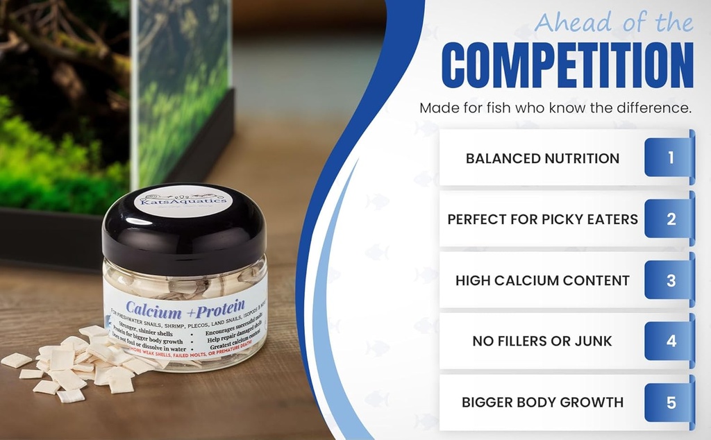 calcium-protein-for-strong-shells-health-3.jpg