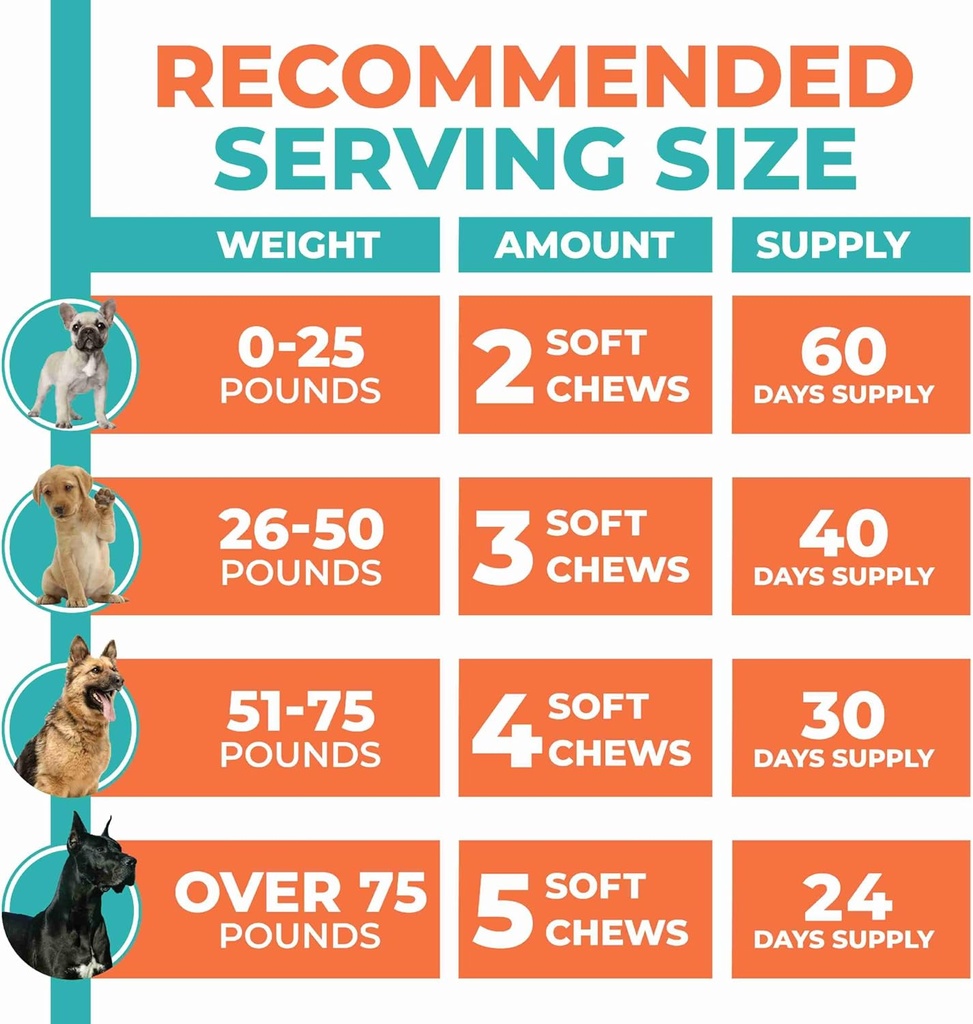 probiotics-for-dogs-digestive-health-sup-5.jpg