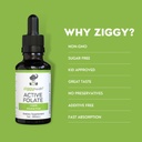 active-folate-pure-liquid-extract-supple-3.jpg