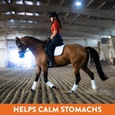 plus--gastric-support-supplement-for-hor-3.jpg