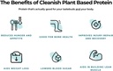 cleanish-plant-based-protein-vanilla-bea-3.jpg