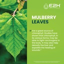e2h-chlorophyll-liquid-drops---natural-e-3.jpg