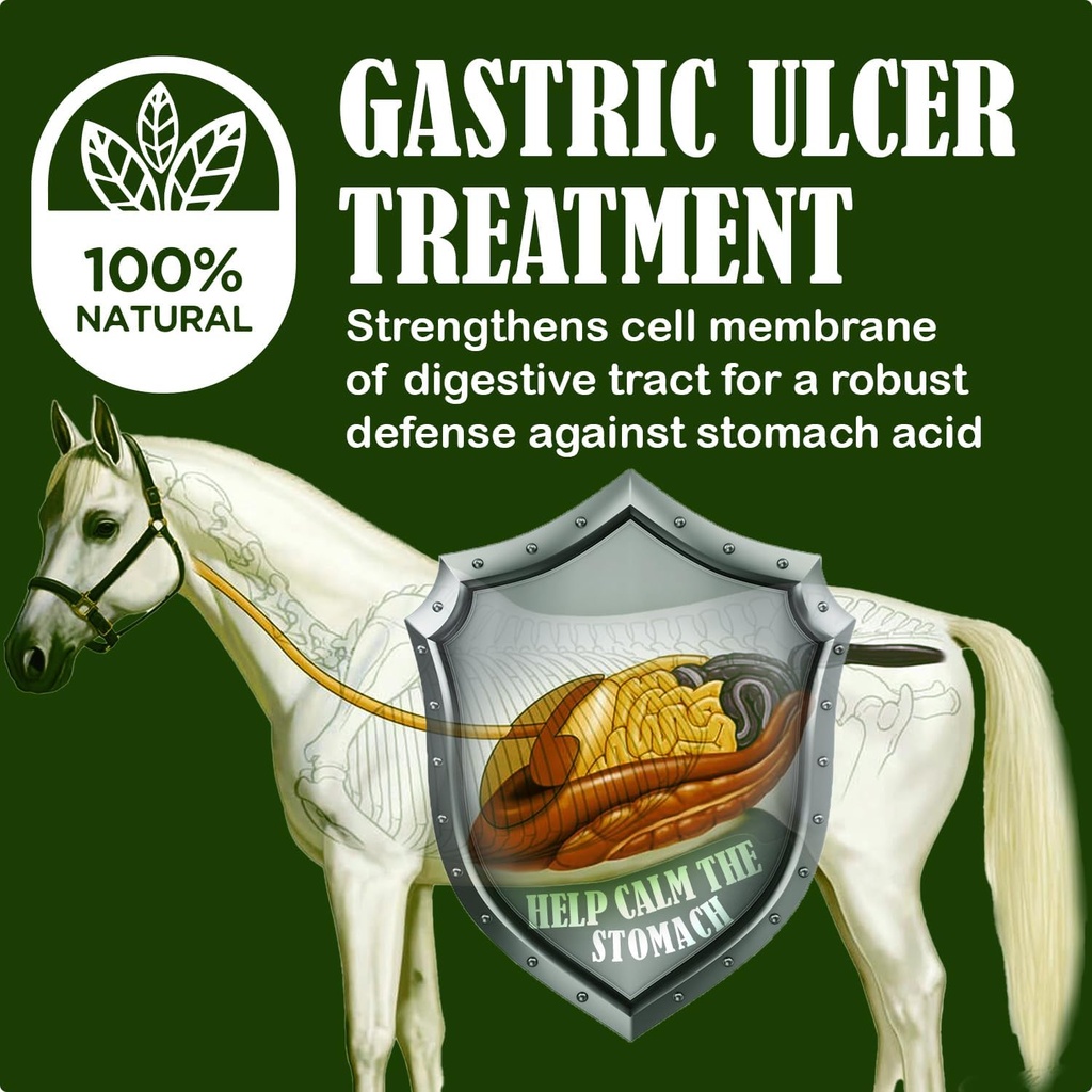 sbs-equine-starting-gate-granules---hors-2.jpg