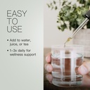 pine-needle-extract---made-from-wildcraf-5.jpg