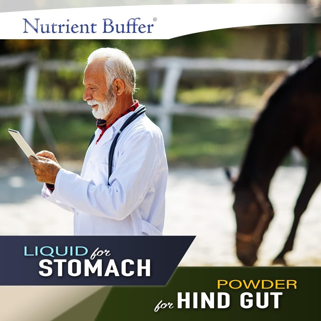 hg---equine-hind-gut-lower-gastric-diges-3.jpg