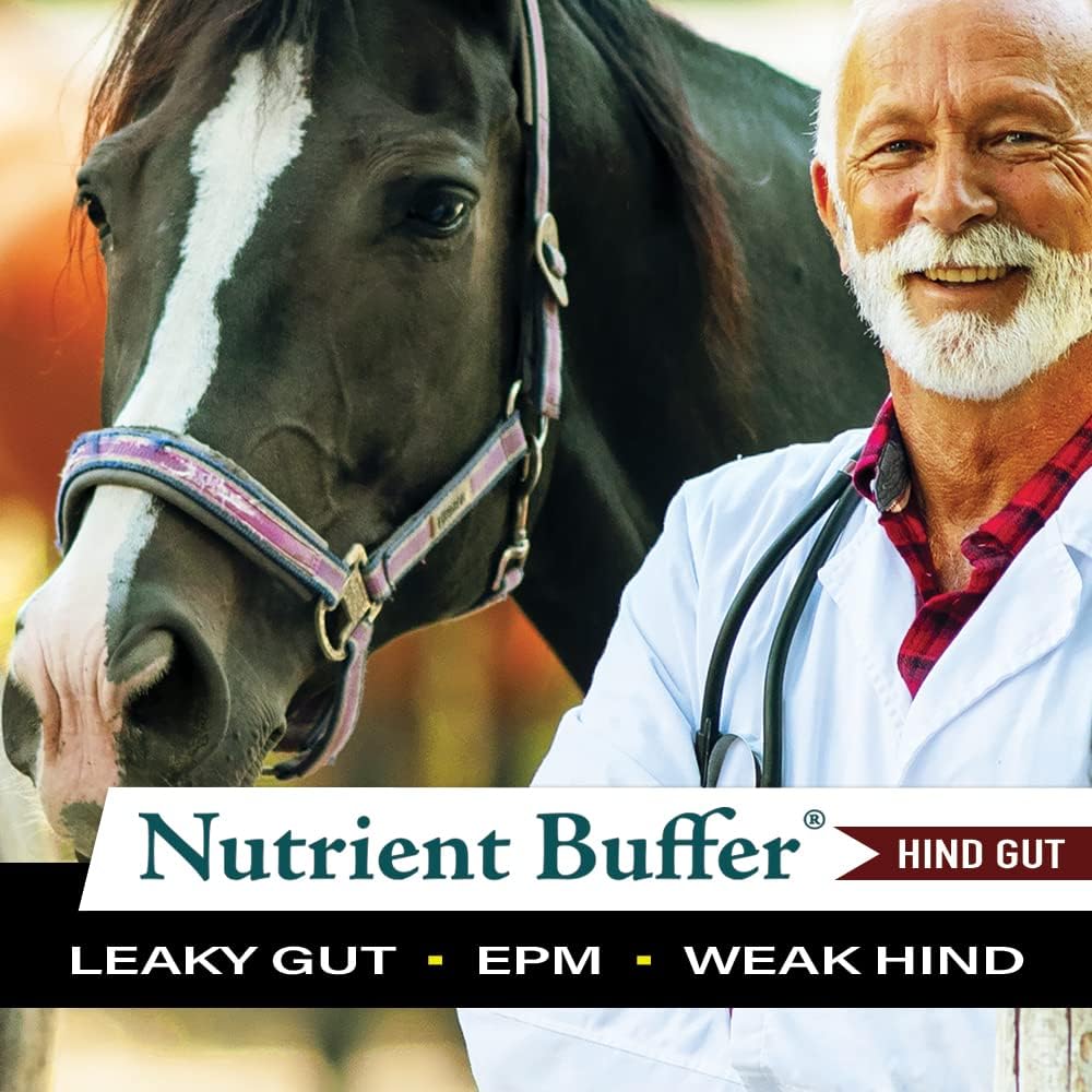hg---equine-hind-gut-lower-gastric-diges-4.jpg