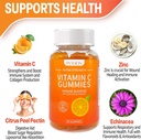 python-vitamin-c-echinacea-supplement-fo-4.jpg