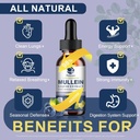mullein-drops-for-lungs-lung-detox-clean-3.jpg