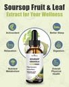 soursop-bitters-liquid-soursop-bitters-f-4.jpg