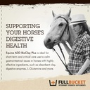 fullbucket-health-add-bioclay-plus-paste-3.jpg