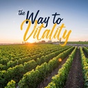 vitalitown-vitamin-b12-methyl-b12-5000-m-6.jpg