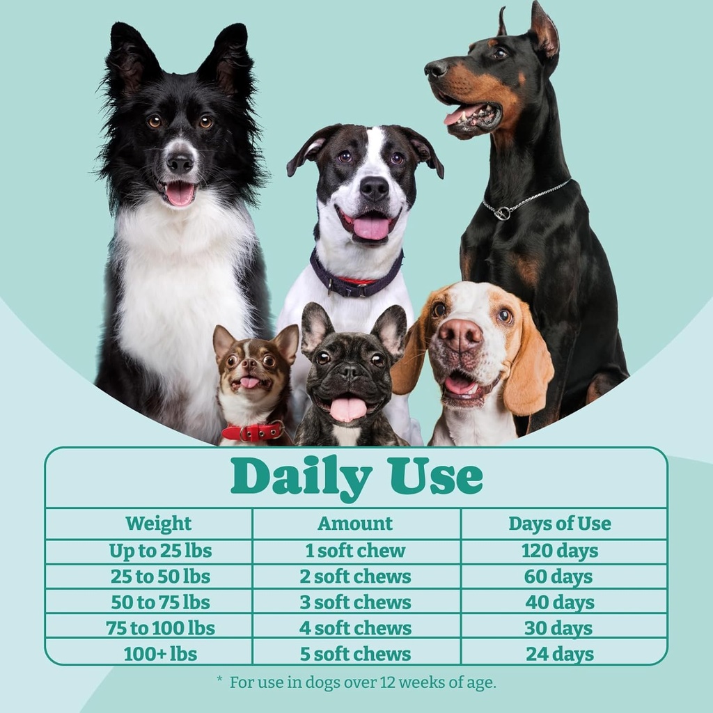 probiotics-for-dogs-dog-probiotics-and-p-5.jpg