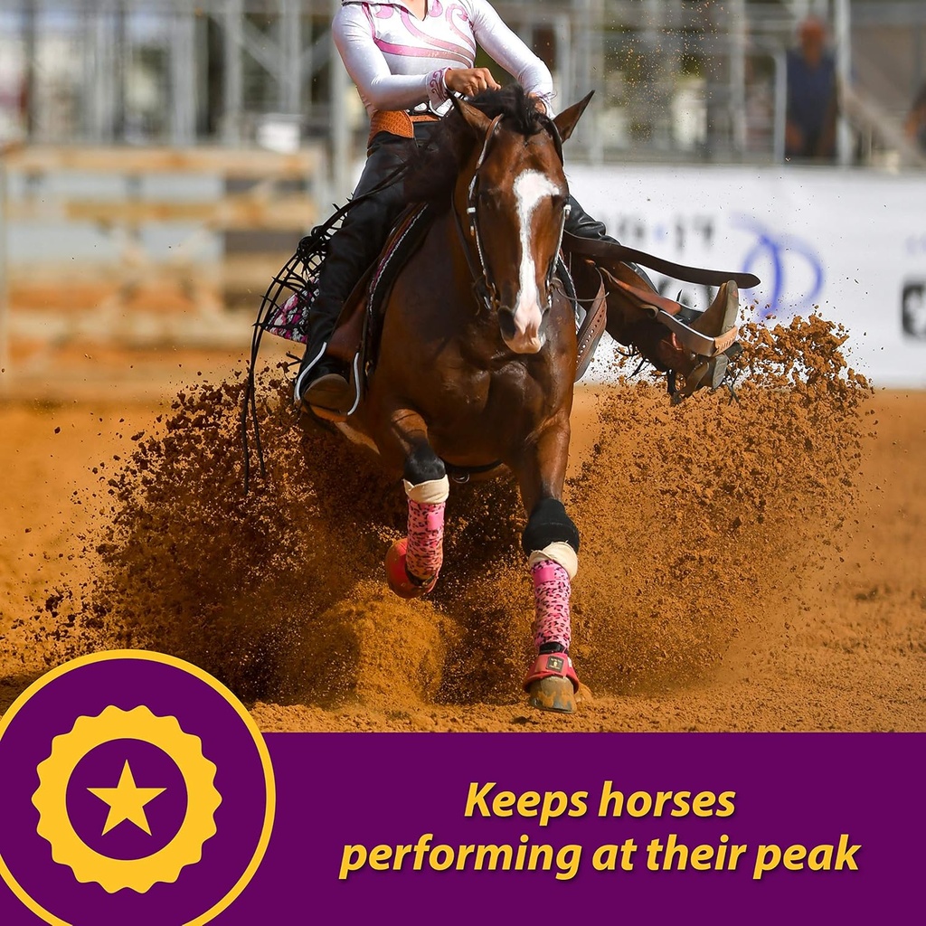 horse-health-maxum-crumbles-concentrated-2.jpg