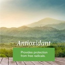 natures-sunshine-e-tea-capsules-100-coun-3.jpg
