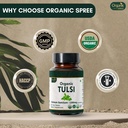 tulsi-120-tablets-usda-organic-holy-basi-6.jpg