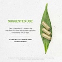 secrets-of-the-tribe-wild-yam-capsules-1-3.jpg
